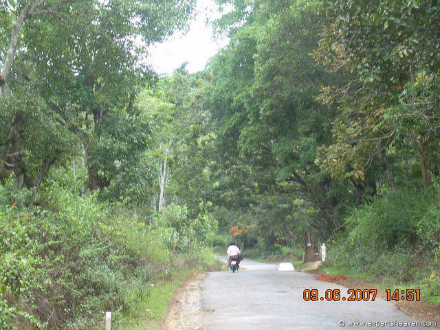 DSCN1743