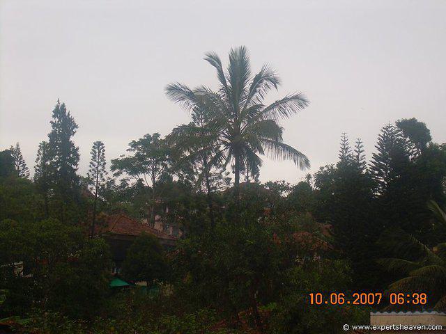DSCN1851