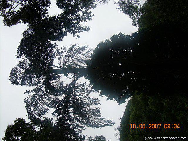 DSCN1888