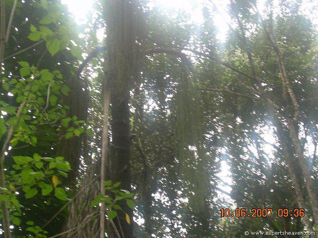 DSCN1889