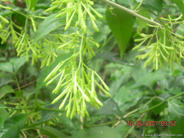 DSCN1918