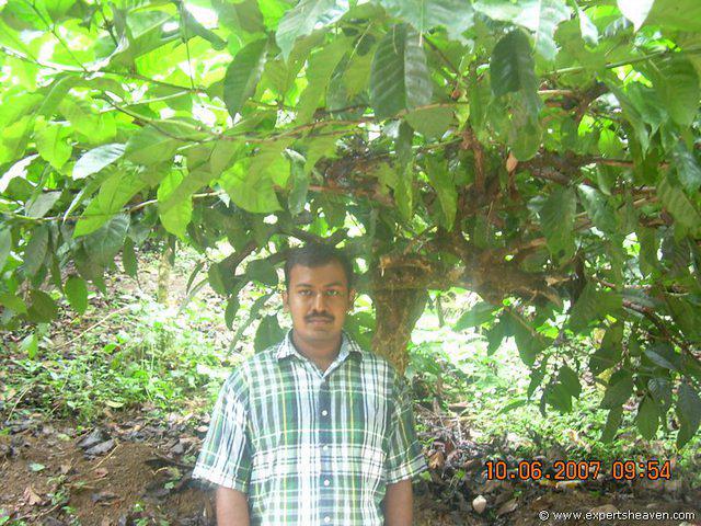 DSCN1919
