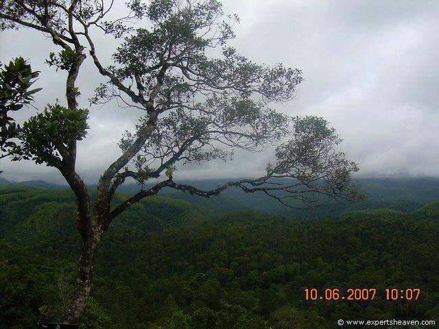 DSCN1925