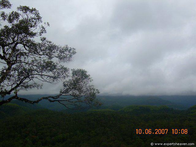 DSCN1926