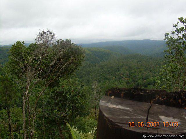 DSCN1928