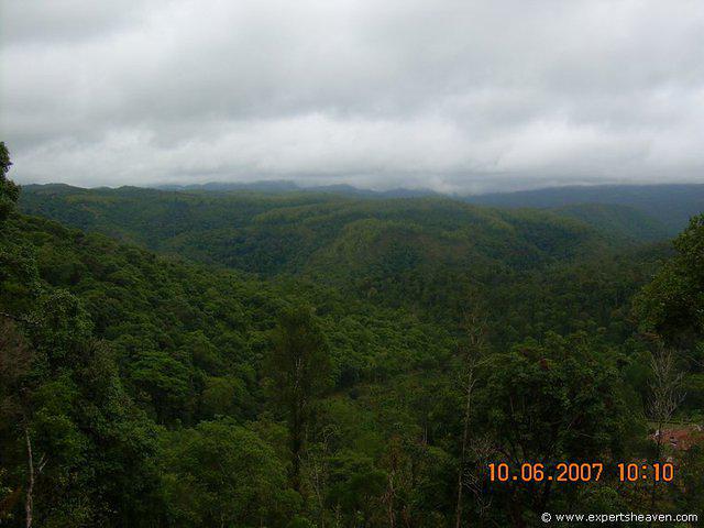 DSCN1930