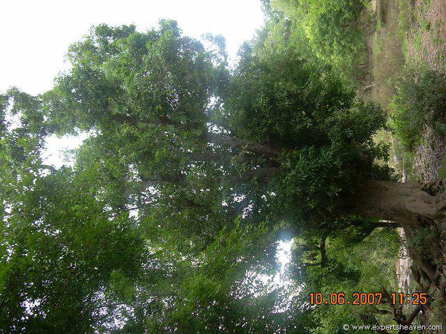 DSCN1946