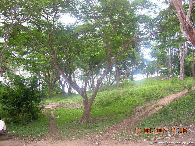 DSCN1971