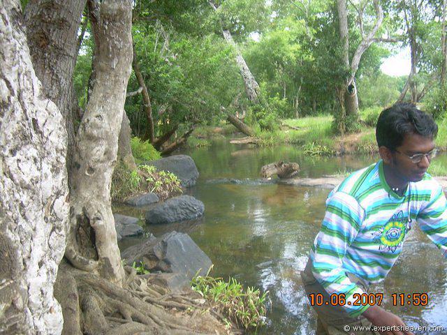 DSCN1980