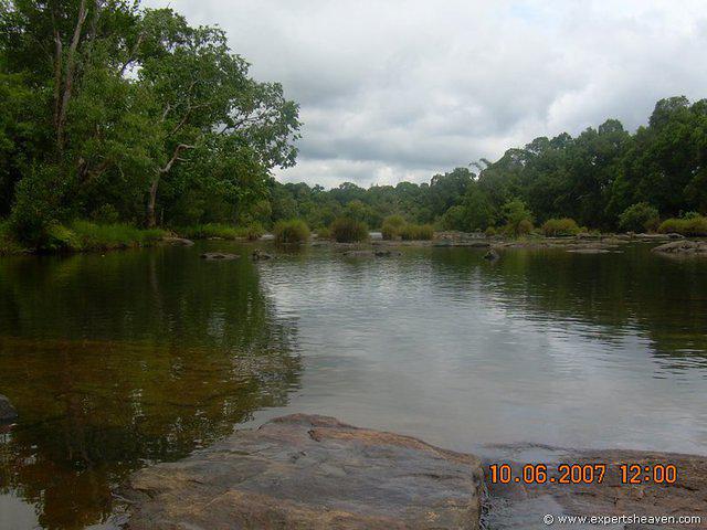 DSCN1982