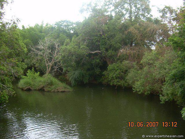 DSCN2002