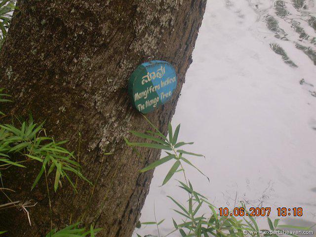 DSCN2010