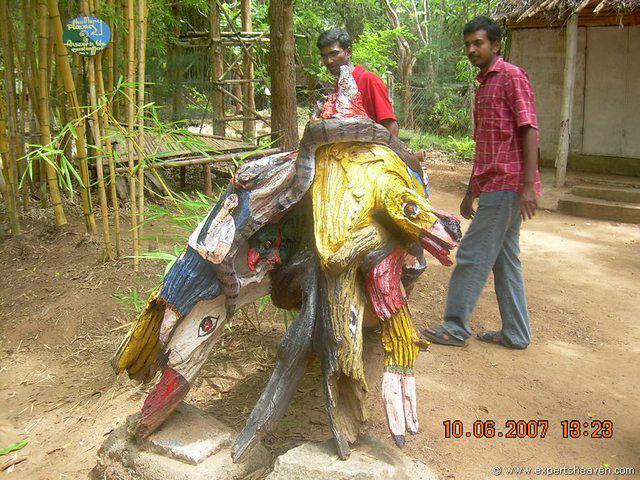 DSCN2011
