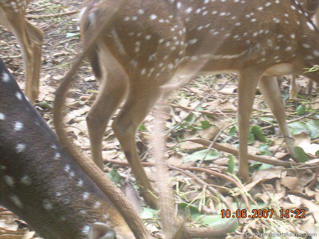 DSCN2038