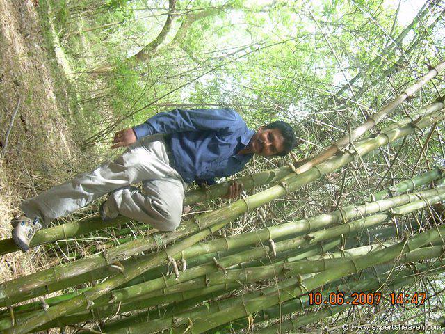 DSCN2058