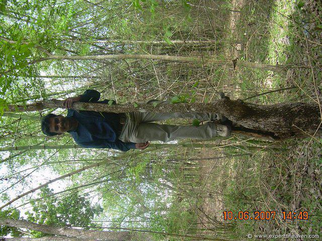DSCN2061