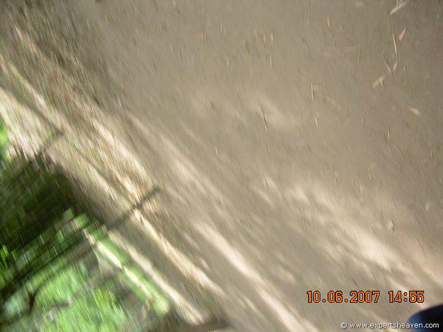 DSCN2068