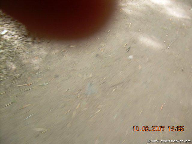 DSCN2069
