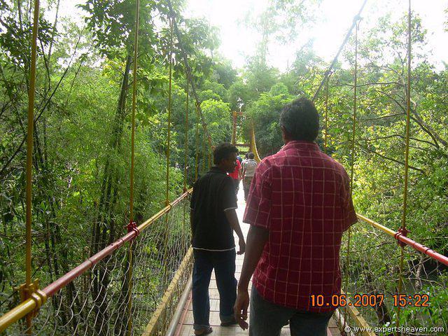 DSCN2090