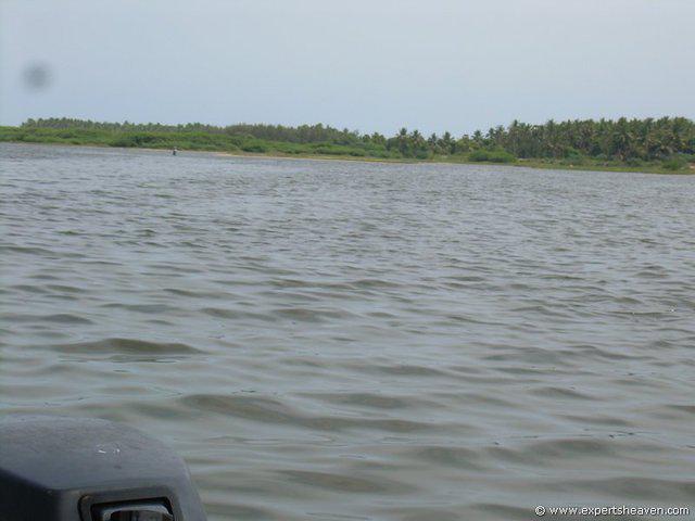 DSCN3003