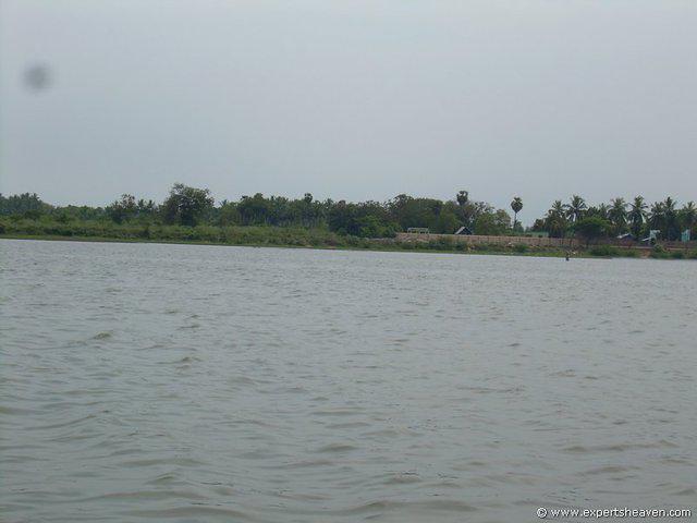 DSCN3006