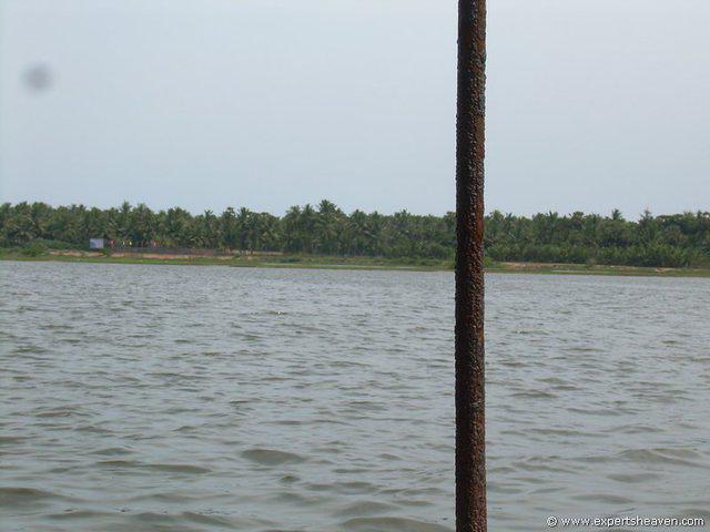 DSCN3007