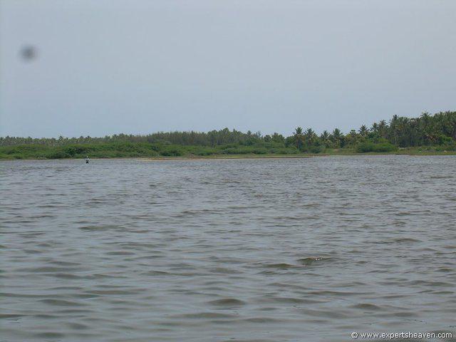 DSCN3008