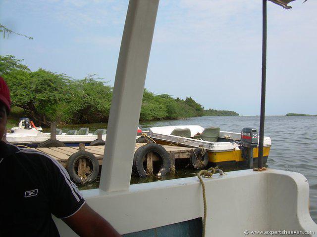 DSCN3009