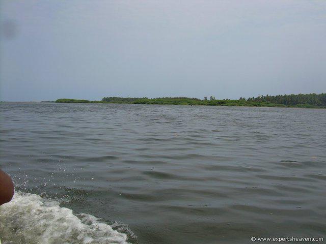 DSCN3012