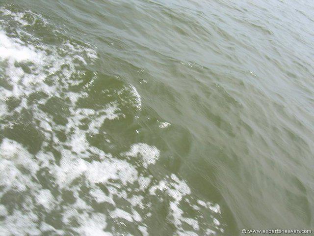 DSCN3027