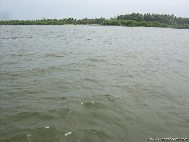 DSCN3029