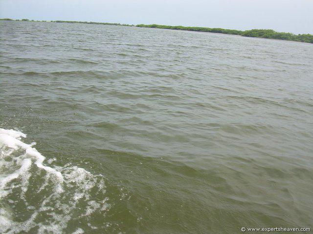 DSCN3030