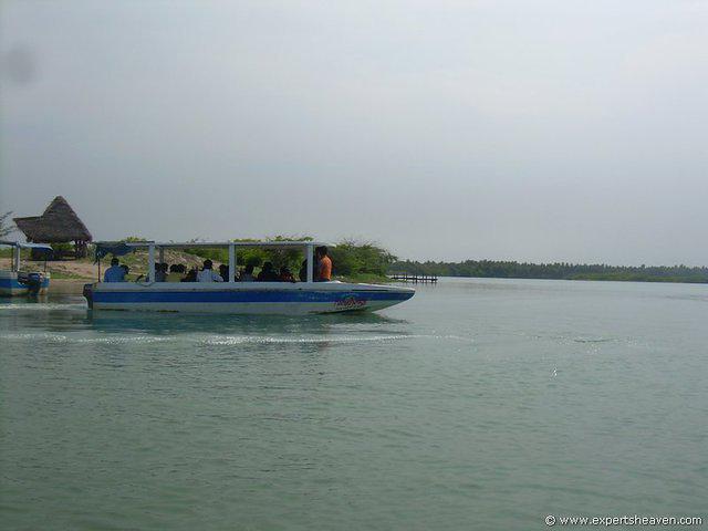 DSCN3037