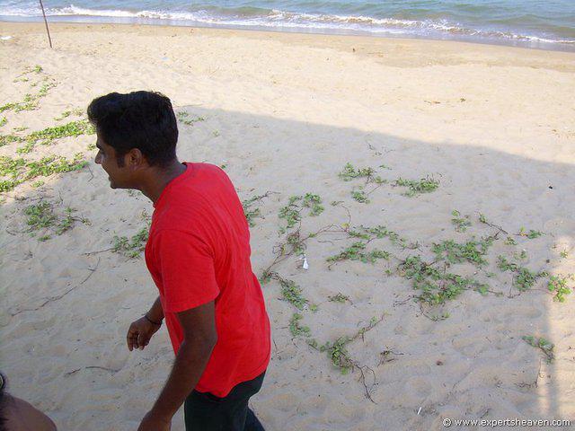 DSCN3067