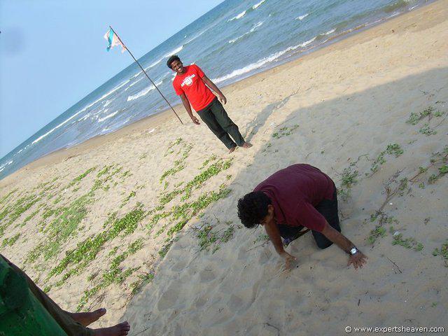 DSCN3081