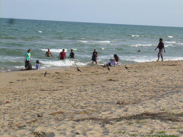 DSCN3088