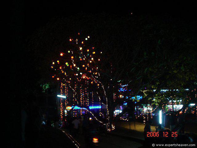 DSC01445