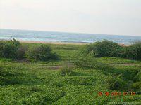 DSCN2303