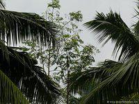 P1000089