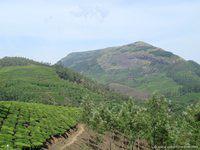 DSC02094