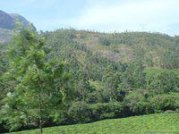 DSC02096