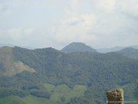 DSC02137