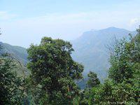 DSC02180