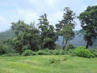 DSC02248