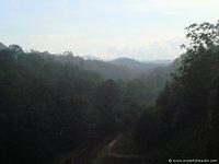 DSC02338