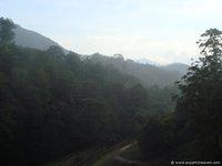 DSC02339