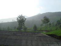 DSC02340