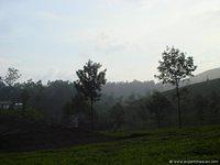 DSC02341
