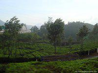DSC02342