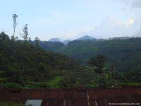 DSC02348